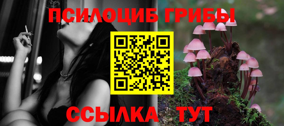 Арсеньев  Галлюциногенные грибы прущие грибы  Вход с VPN  Псилоцибиновые грибы ЛСД 